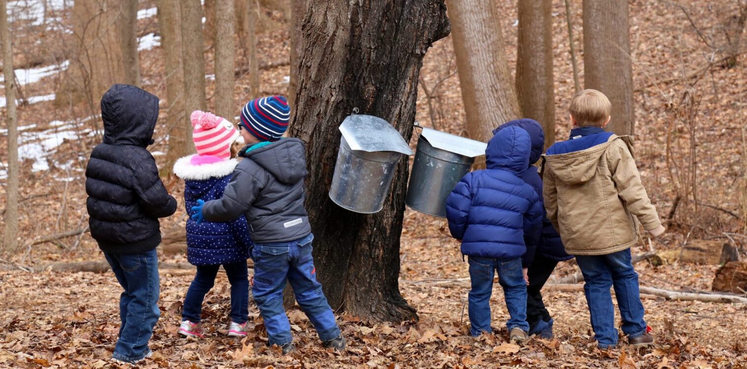 children maple sugaring