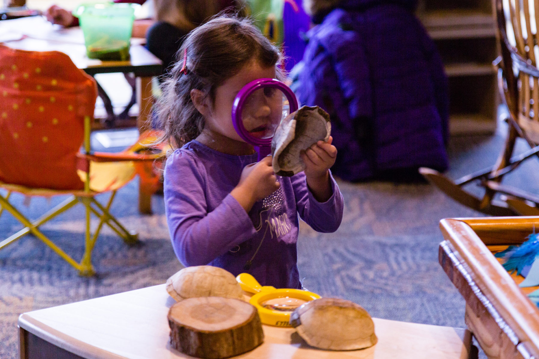 Child looking at Shell - Locust Grove Nature Center - Winter 2016