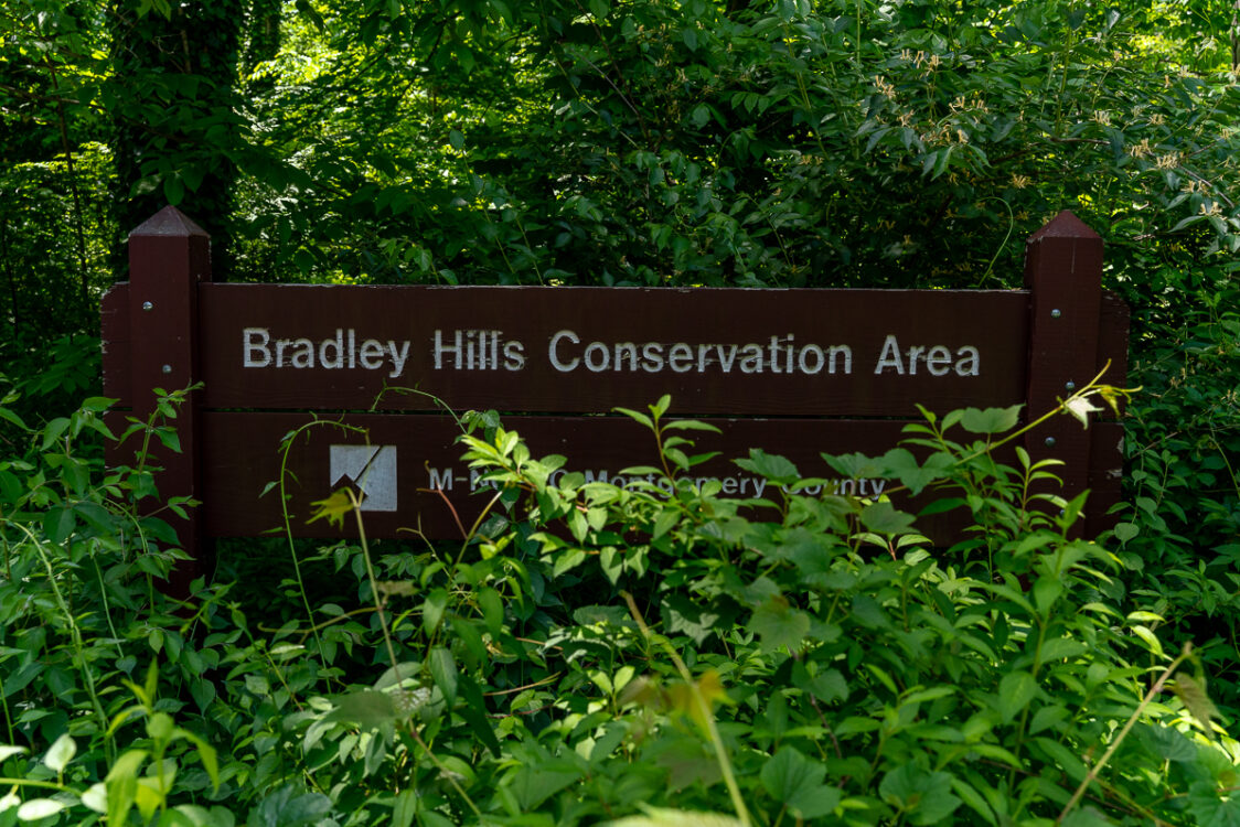 Bradley Hills Neighborhood Conservation Area