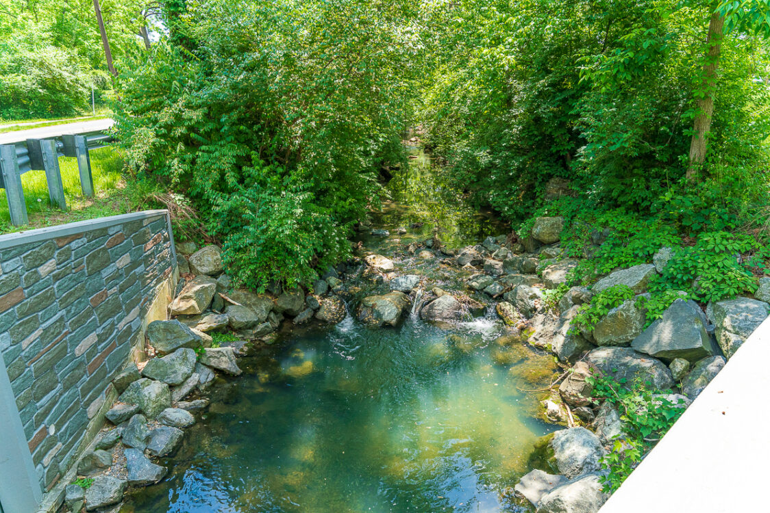 Brook at Elmhirst Parkway Neighborhood Conservation Area