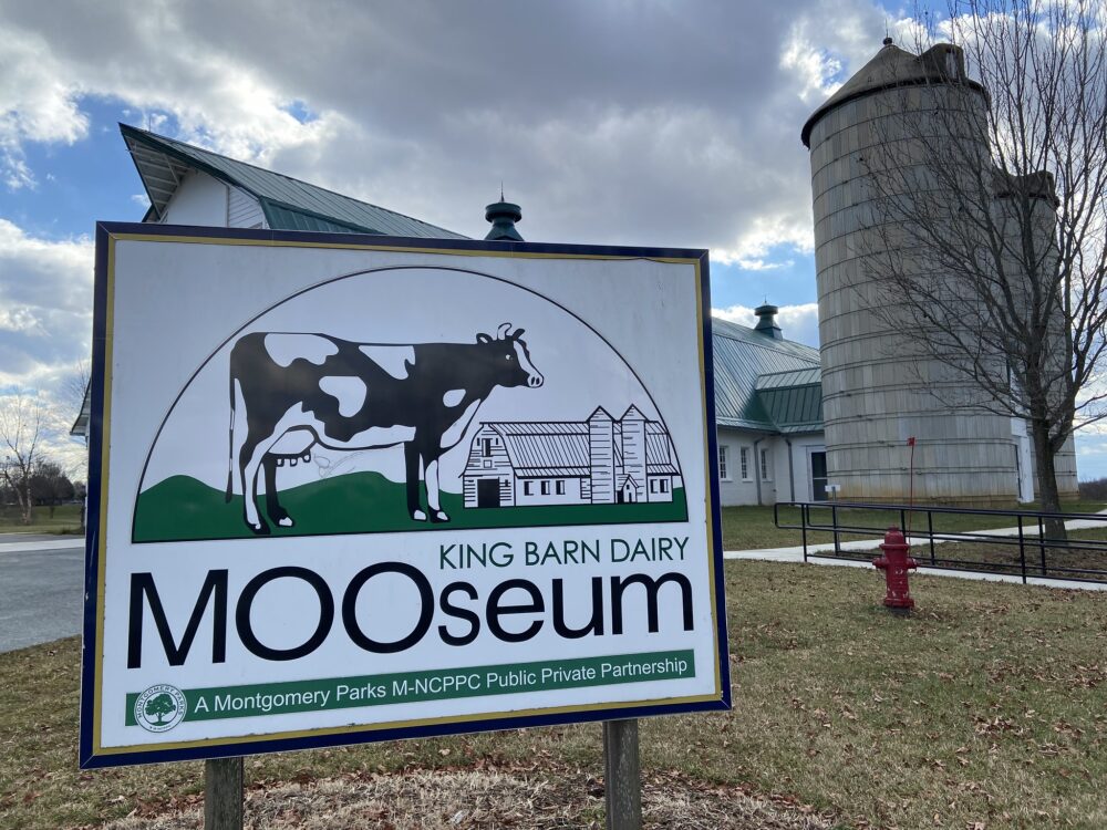 King Barn Dairy Mooseum