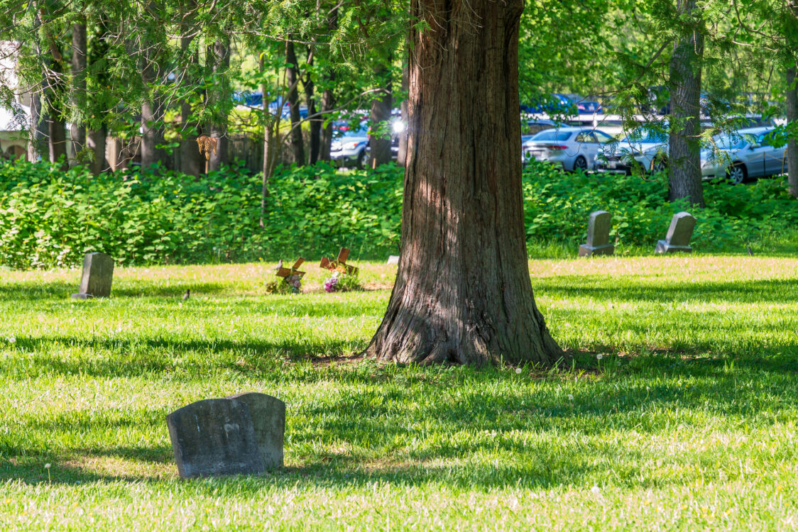 Norbeck-Muncaster Mill Neighborhood Park