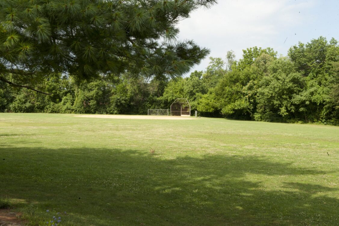 Field at Argyle Local Park