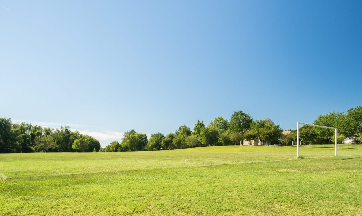 Field at Blueberry-Hill