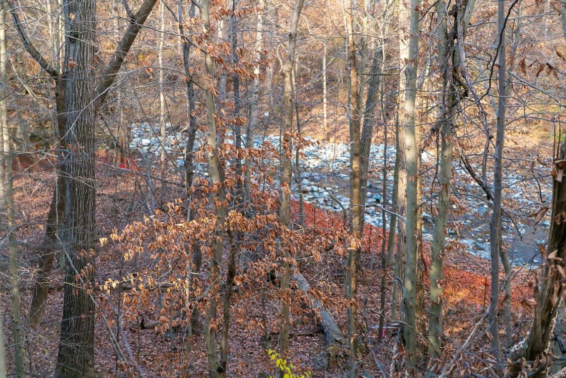 booze creek park