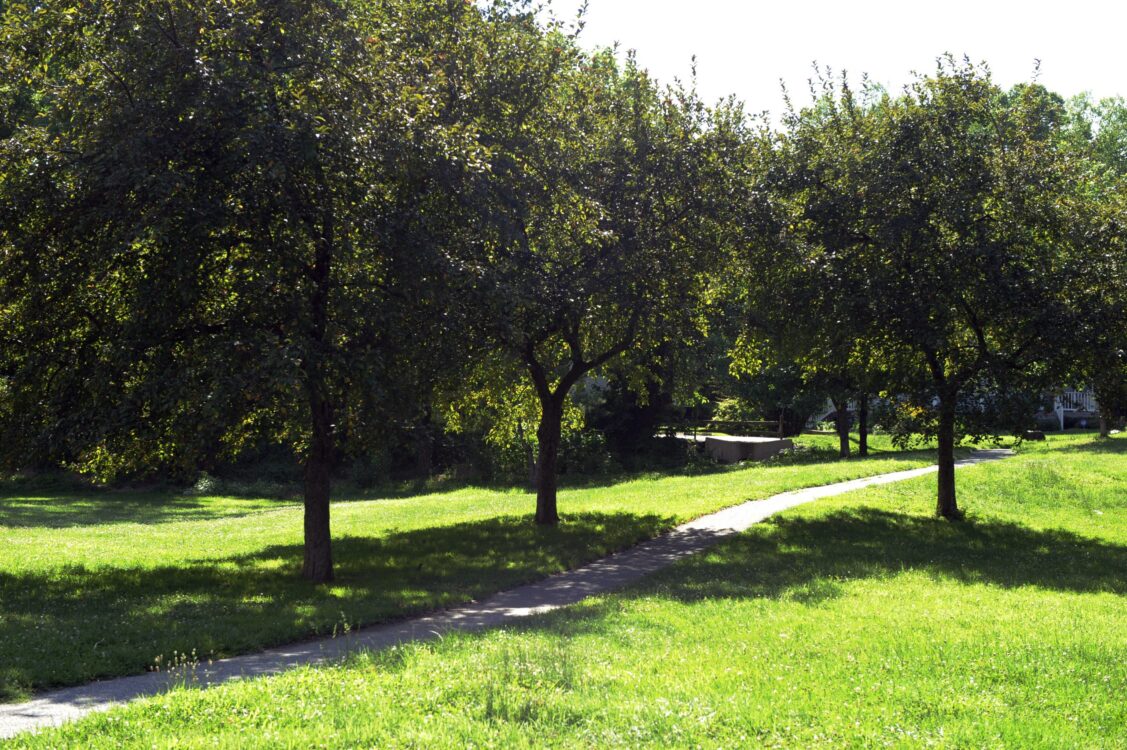 Path at Bullis Local Park