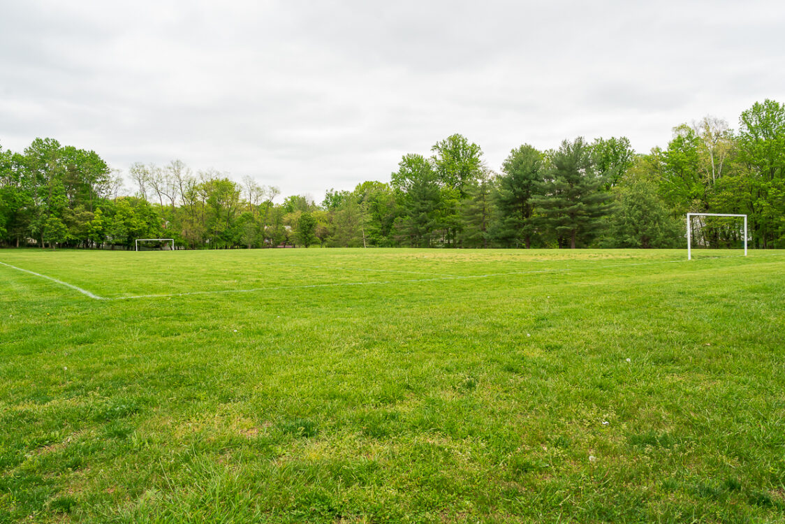 soccer field