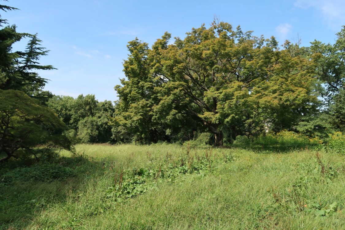 Pasture at Glen Haven