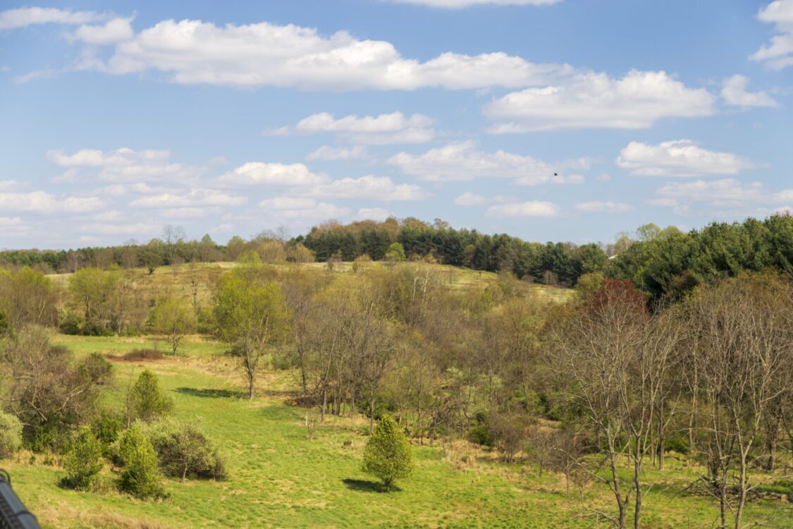 Green Farm Conservation Park