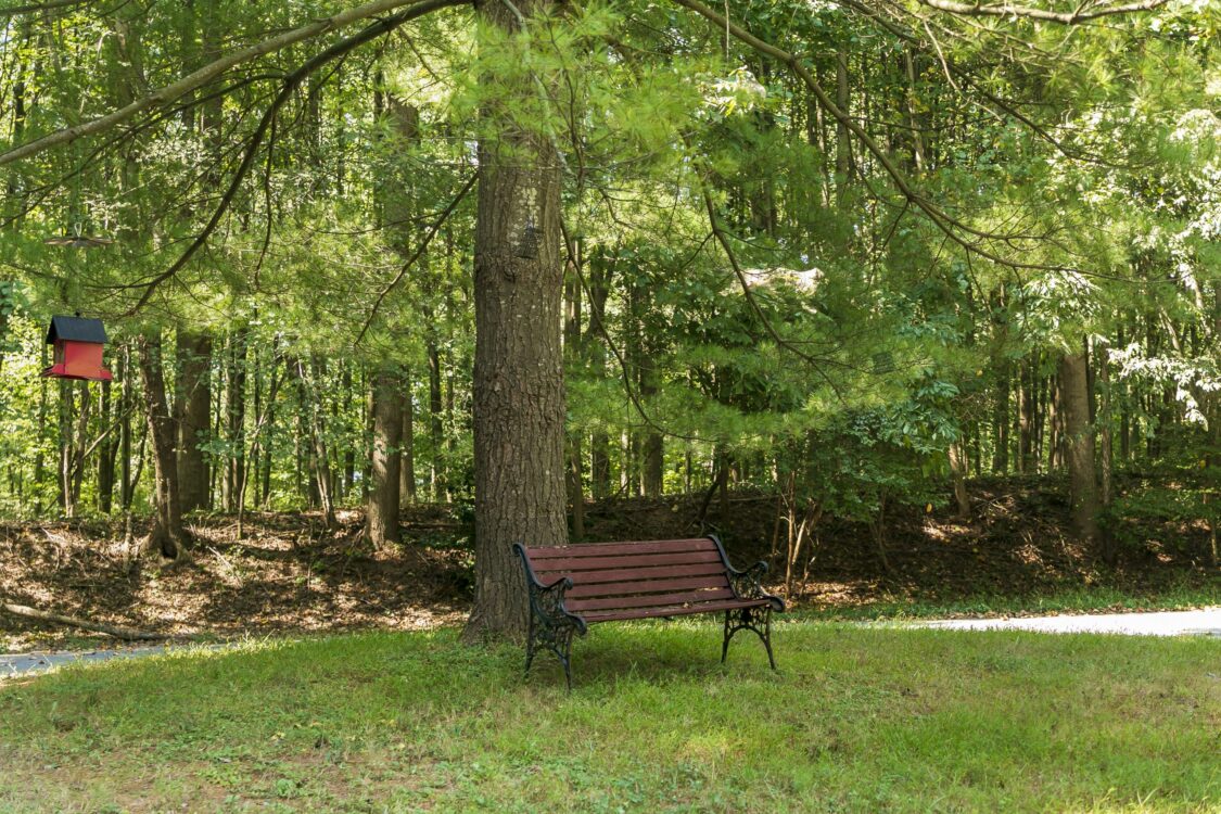 Park Bench at Griffith Local Park