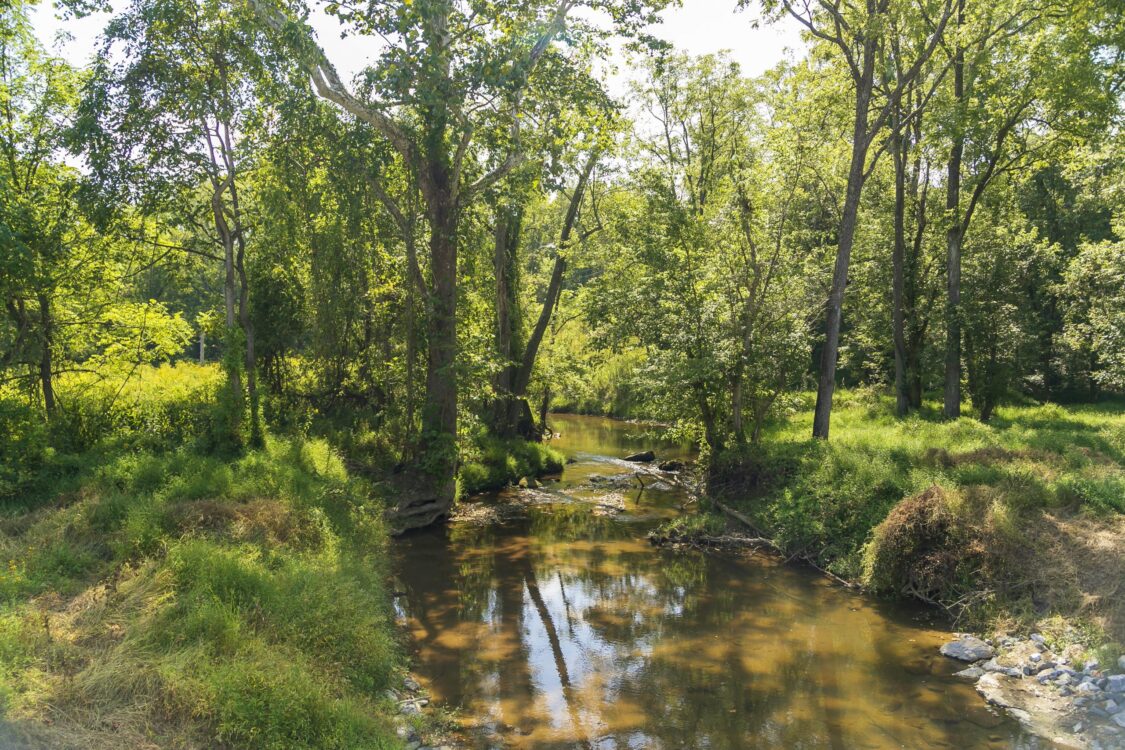 Stream at Hawlings River Stream Valley