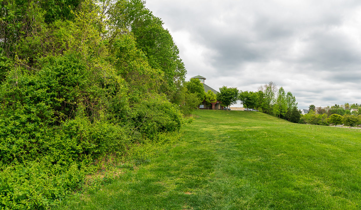 open field at Kingsview Local Park