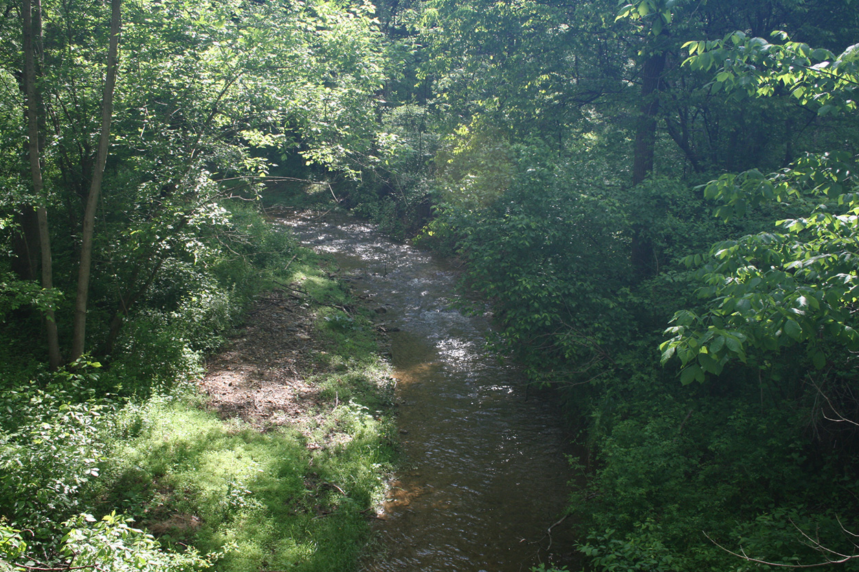 stream at Little Bennett Creek Stream Valley Park