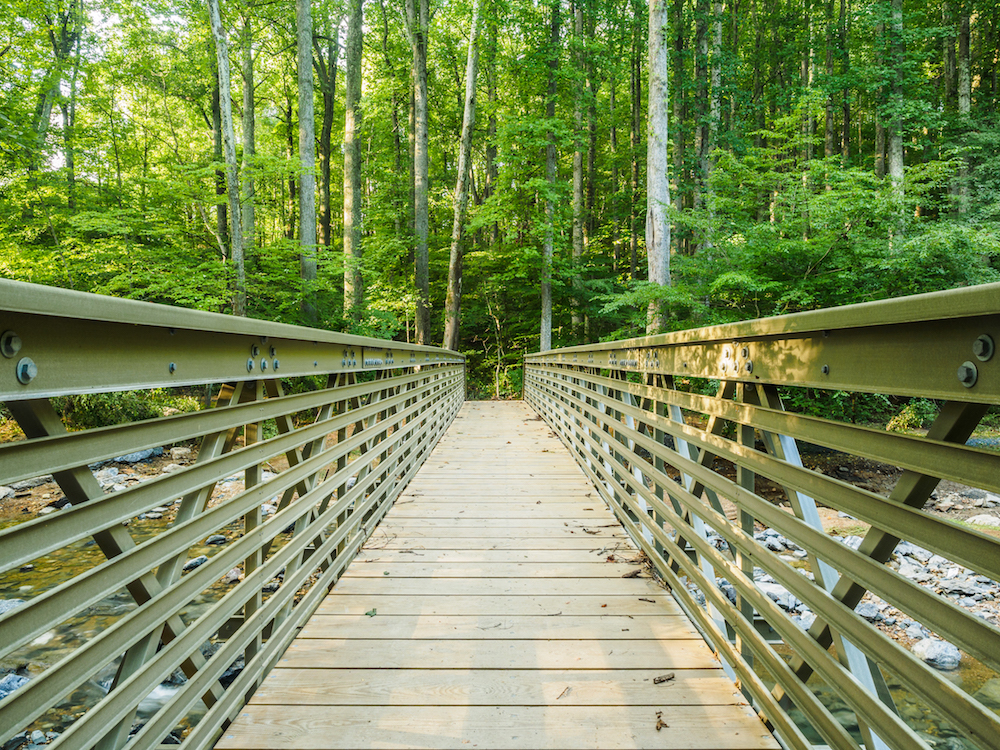 Bridge at Little Bennett Regional Park