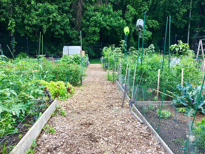 Community Garden Long Branch Local Park