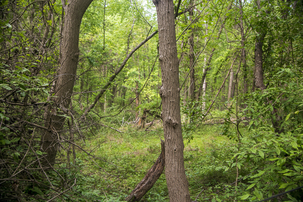 Ten Mile Creek Conservation Park