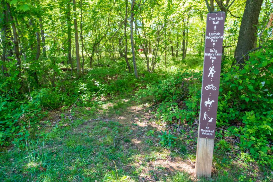 trail head in park Muncaster Recreational Park