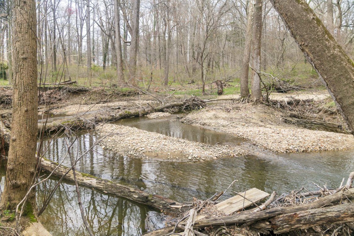 Norwood Village Neighborhood Conservation Area