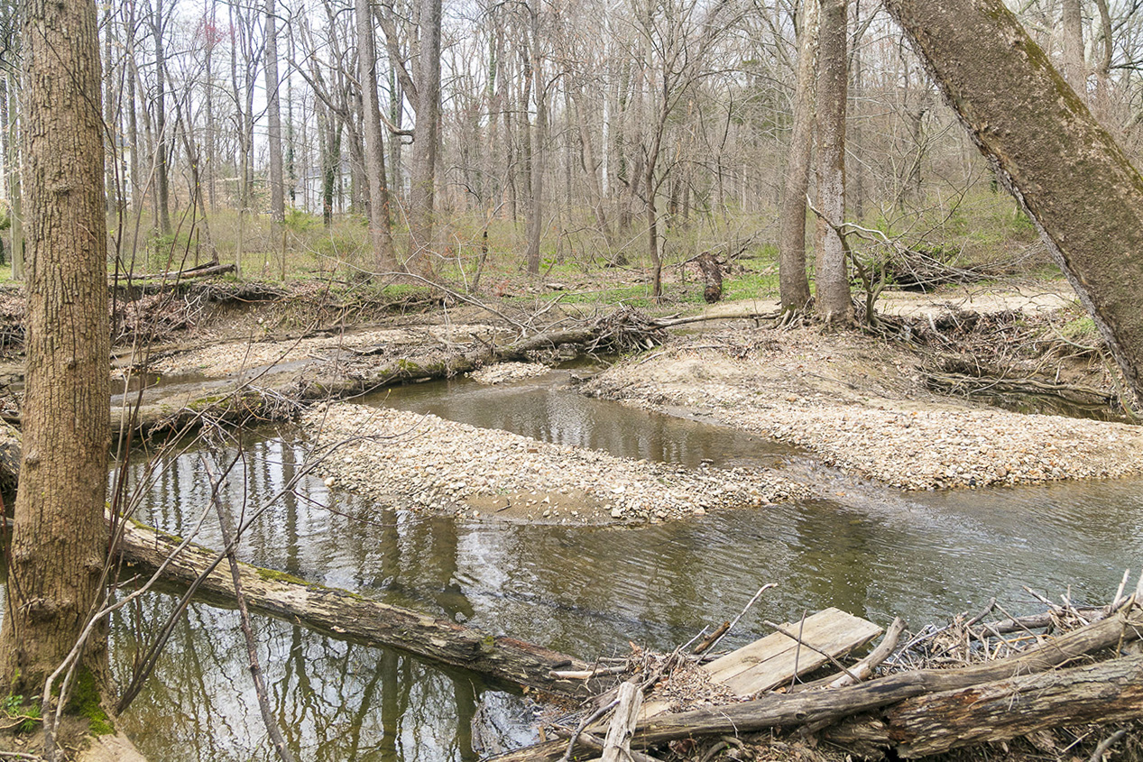 Norwood Village Neighborhood Conservation Area