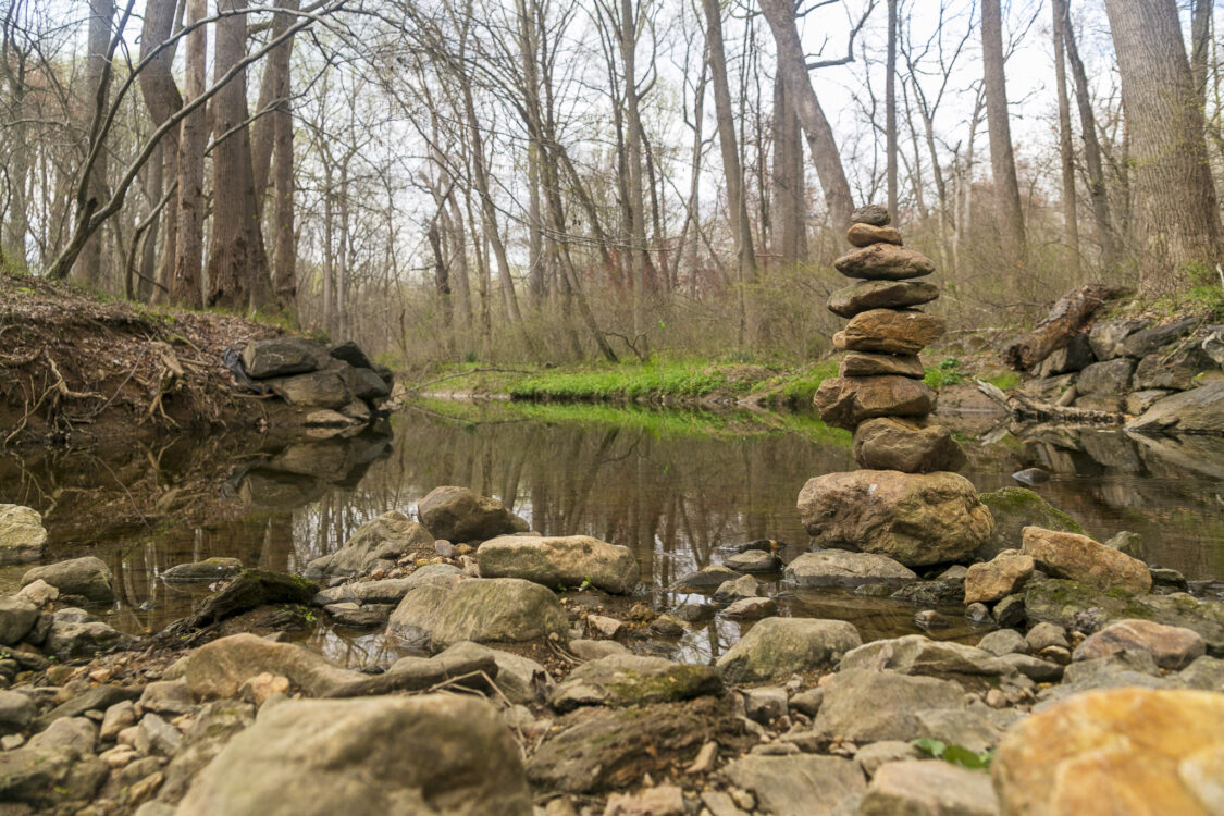 Stream at Paint Branch Neighborhood Park