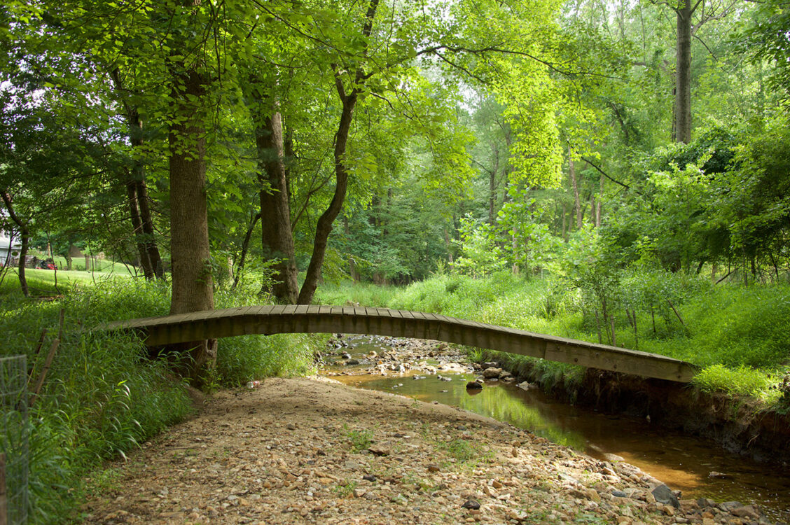 Sherwood Forest Conservation Park