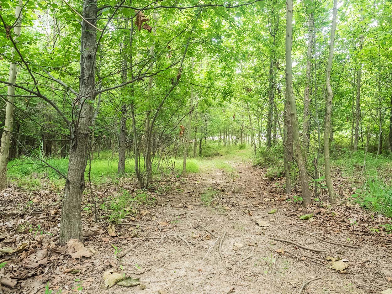 Small Forest Duvall Road Neighborhood Conservation Area