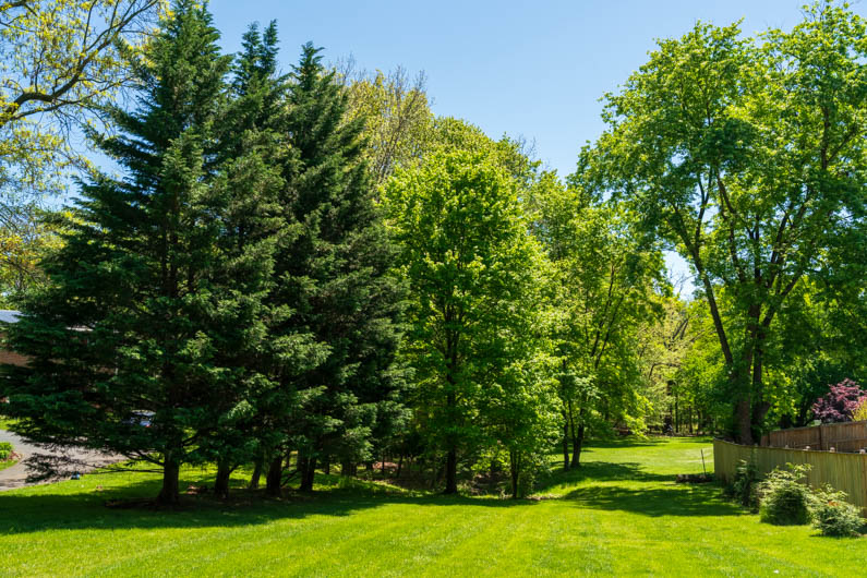 Hunters Woods Neighborhood Conservation Park