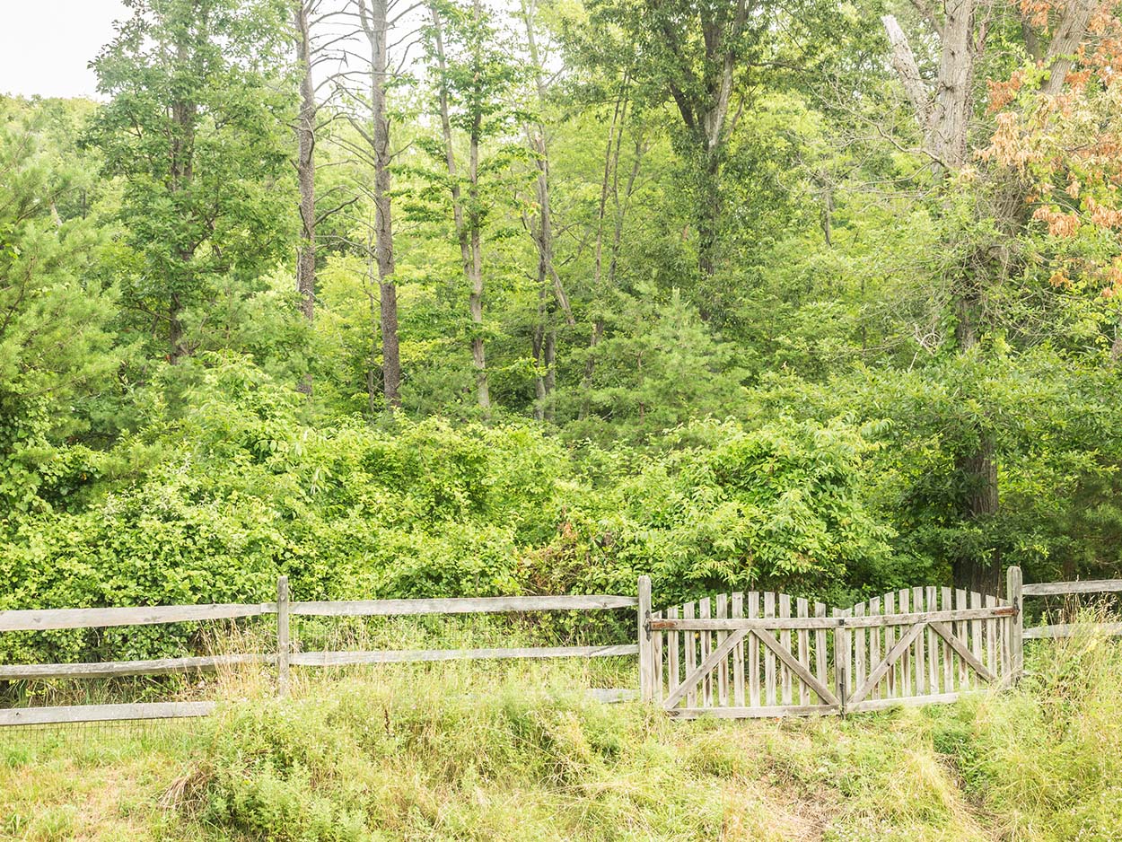 field mill creek stream valley park