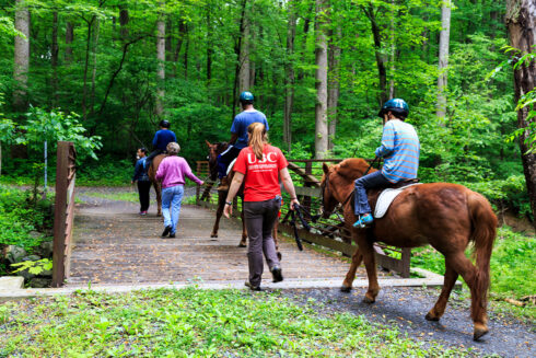 Wheaton Stables