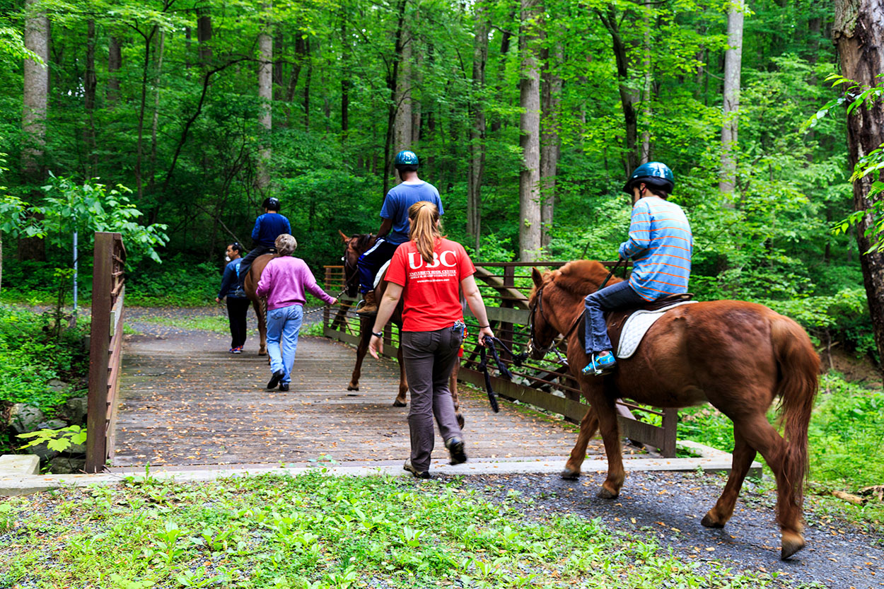 Horseback Riding Wheaton Stables