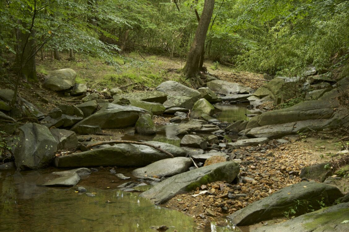 Stream at Beret Neighborhood Conservation Area