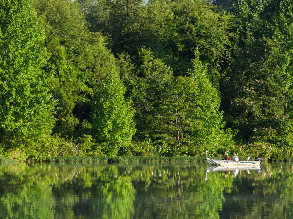 A white boat with people on it on the water that is reflecting the green trees behind them.