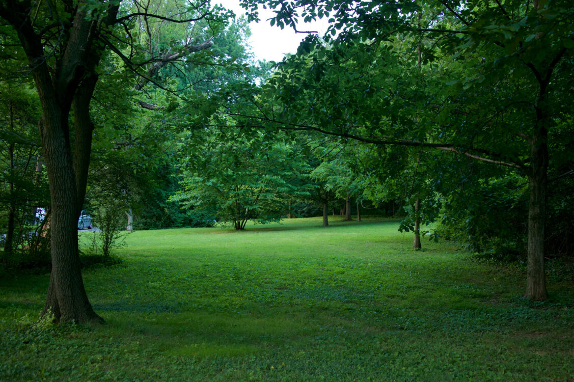 Boundary Park Neighborhood Conservation Area