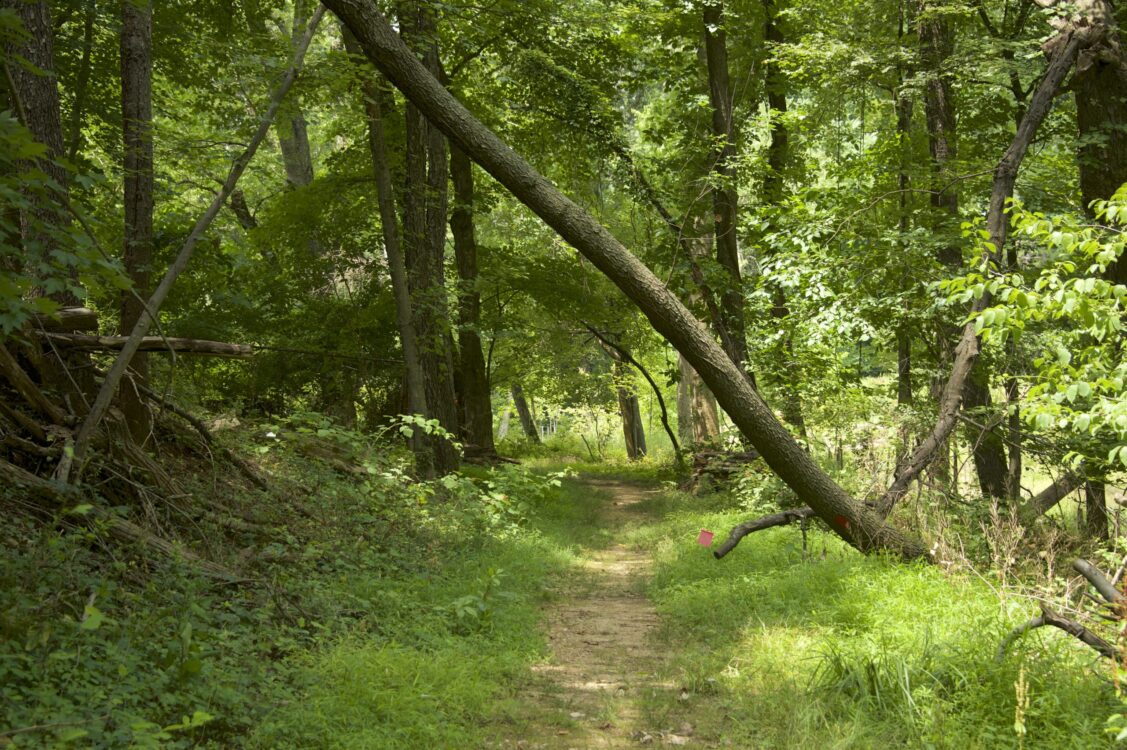 Breewood Neighborhood Park