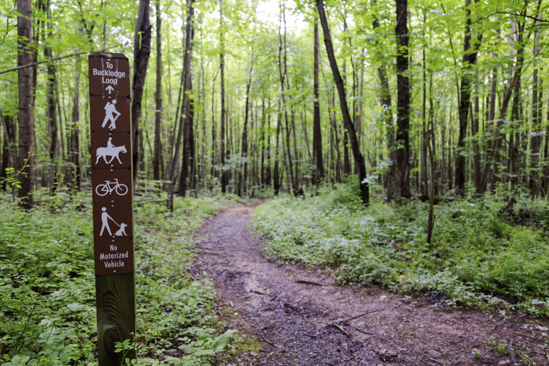 Bucklodge Conservation Park Trails