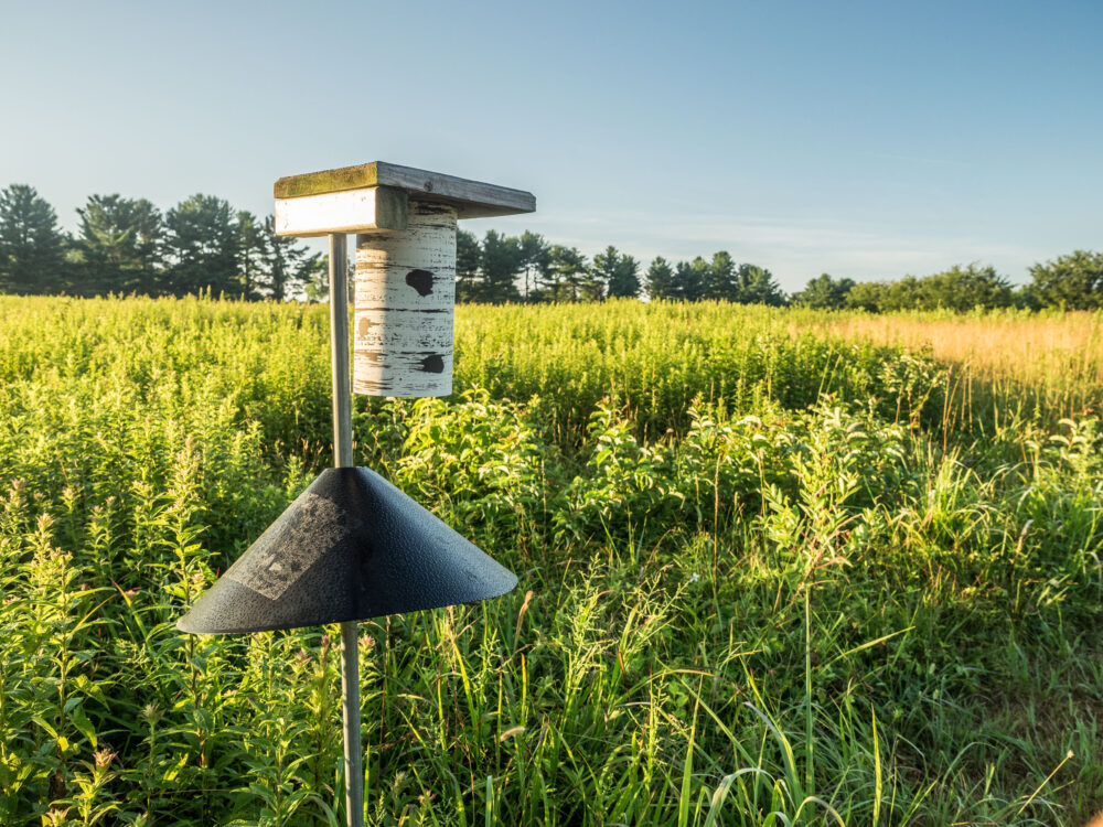 bird house burtonsville local park