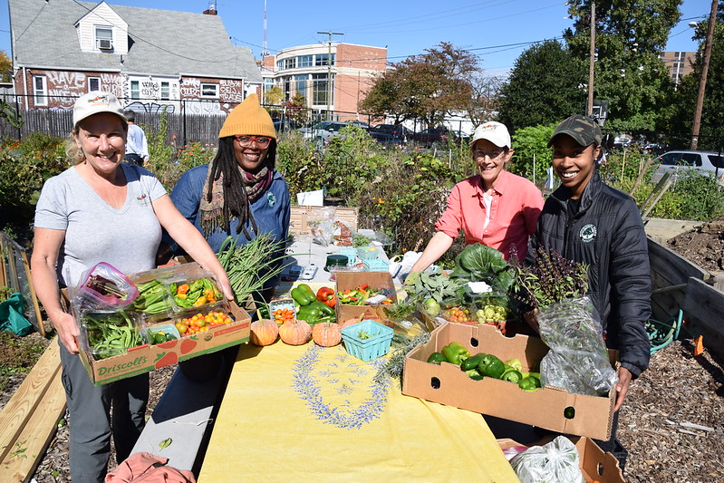 Community gardeners smile with crates full of fresh produce