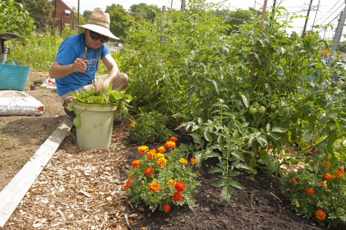 Gardner at Fenton Street Urban Park Community Garden