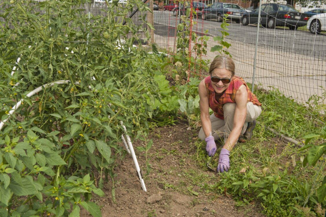 Gardner at Fenton Street Urban Park Community Garden