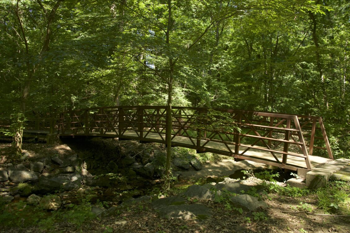 Bridge at Drake Drive Neighborhood Conservation Area