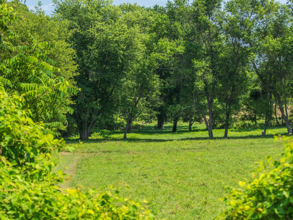 Fairdale Road Neighborhood Conservation Area