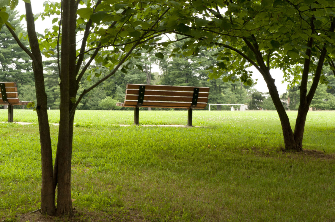 bench Farmland Drive Local Park