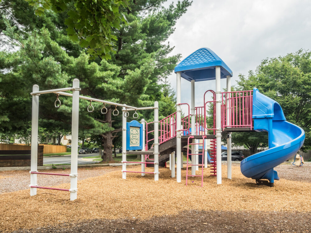 playground flower hill local park