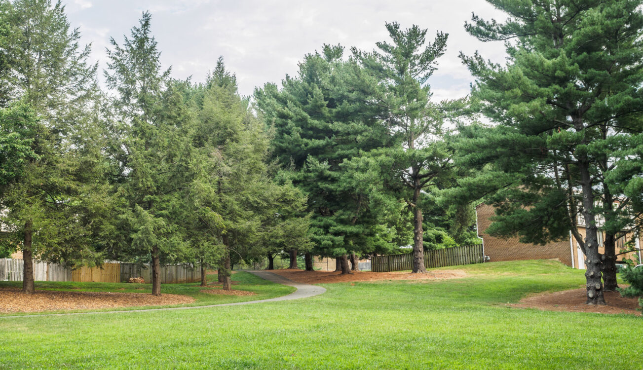 open field Fox Chapel Neighborhood Park