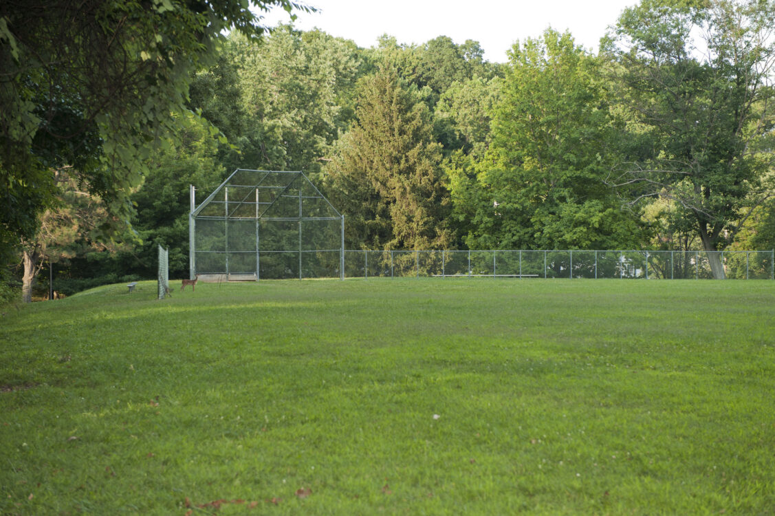 Baseball Diamond at Georgian Forest Local Park