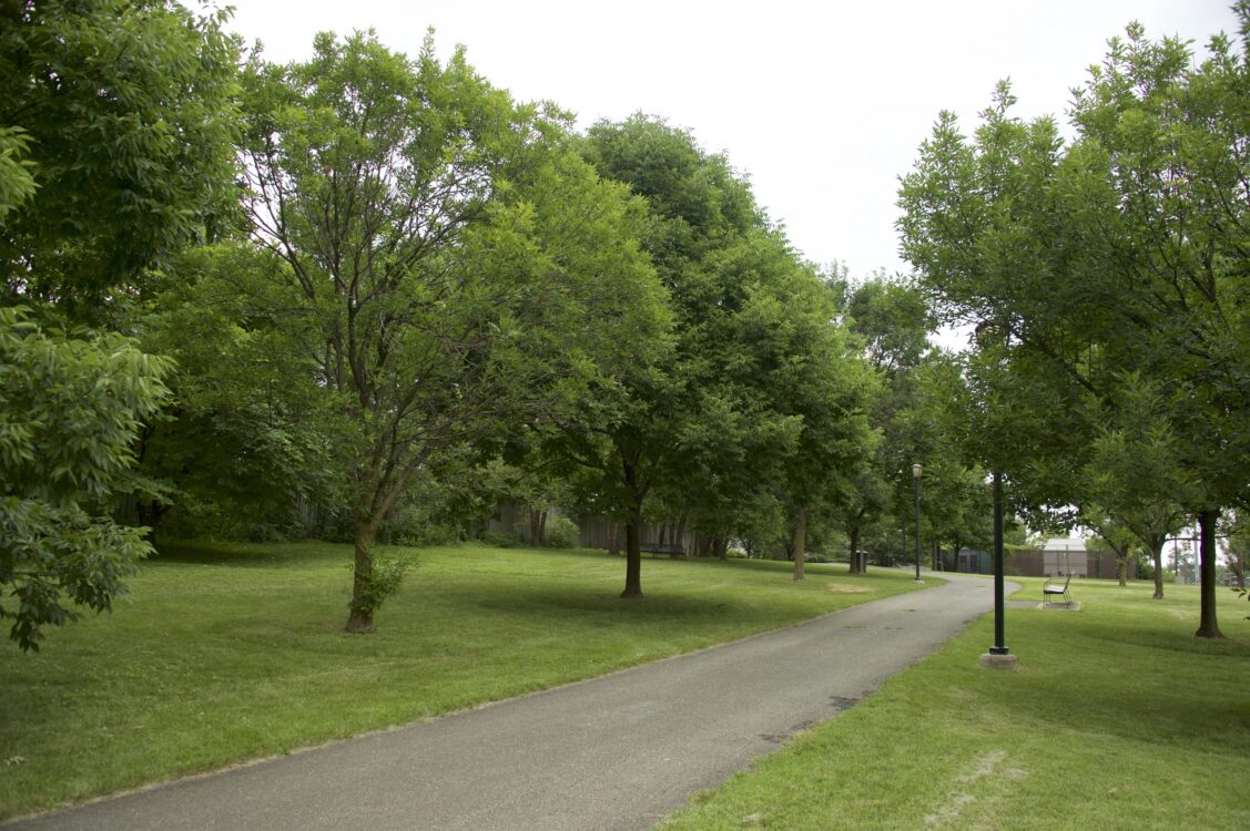 Walkway at Glenmont Greenway Urban Park