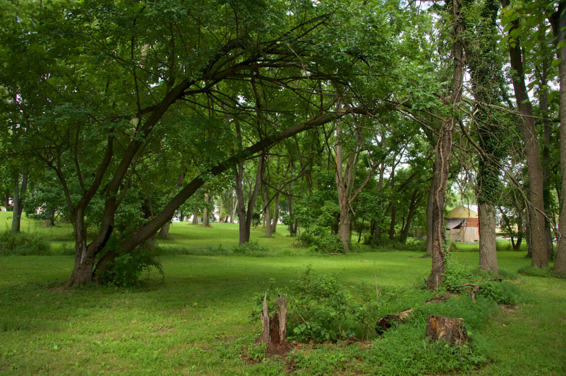 open woods harmony hill neighborhood park