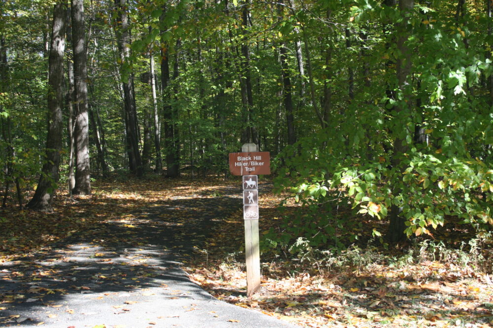 Trail Head Black Hill Regional Park Trails