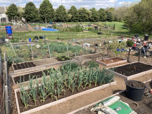 view of South Germantown Community Garden plots