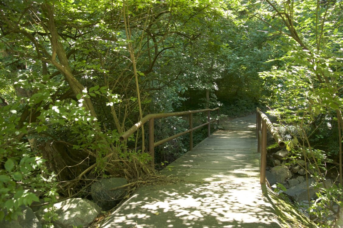 Bridge at Kensington Parkway Stream Valley Park